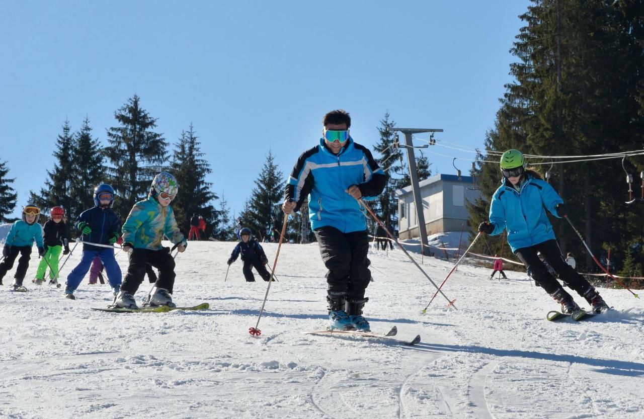 Zlatarske Brvnare Zlatar Chalets Nova Varoš 외부 사진
