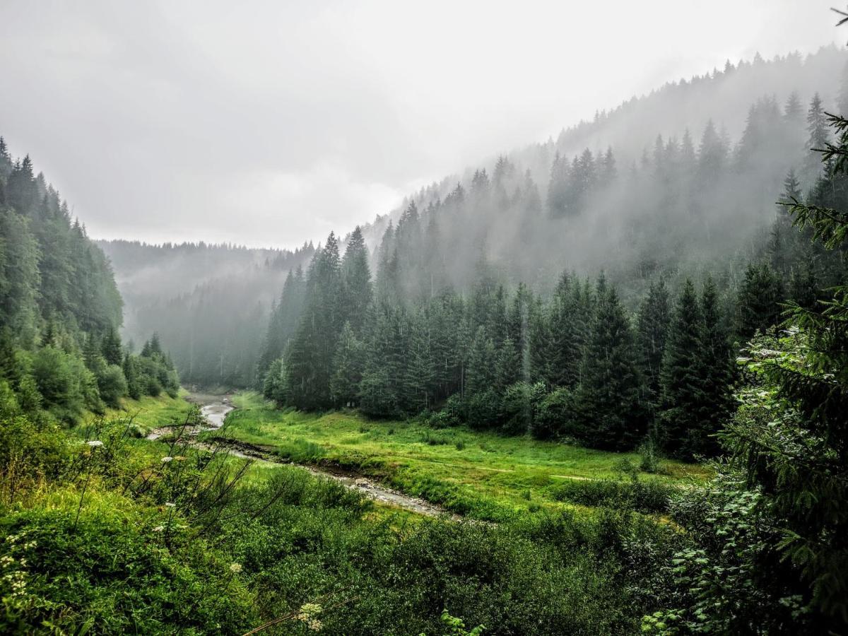 Zlatarske Brvnare Zlatar Chalets Nova Varoš 외부 사진