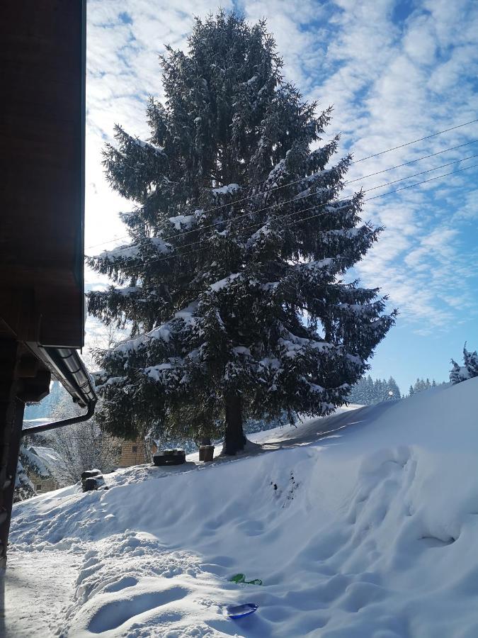 Zlatarske Brvnare Zlatar Chalets Nova Varoš 외부 사진