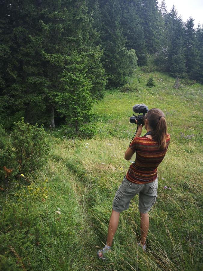 Zlatarske Brvnare Zlatar Chalets Nova Varoš 외부 사진