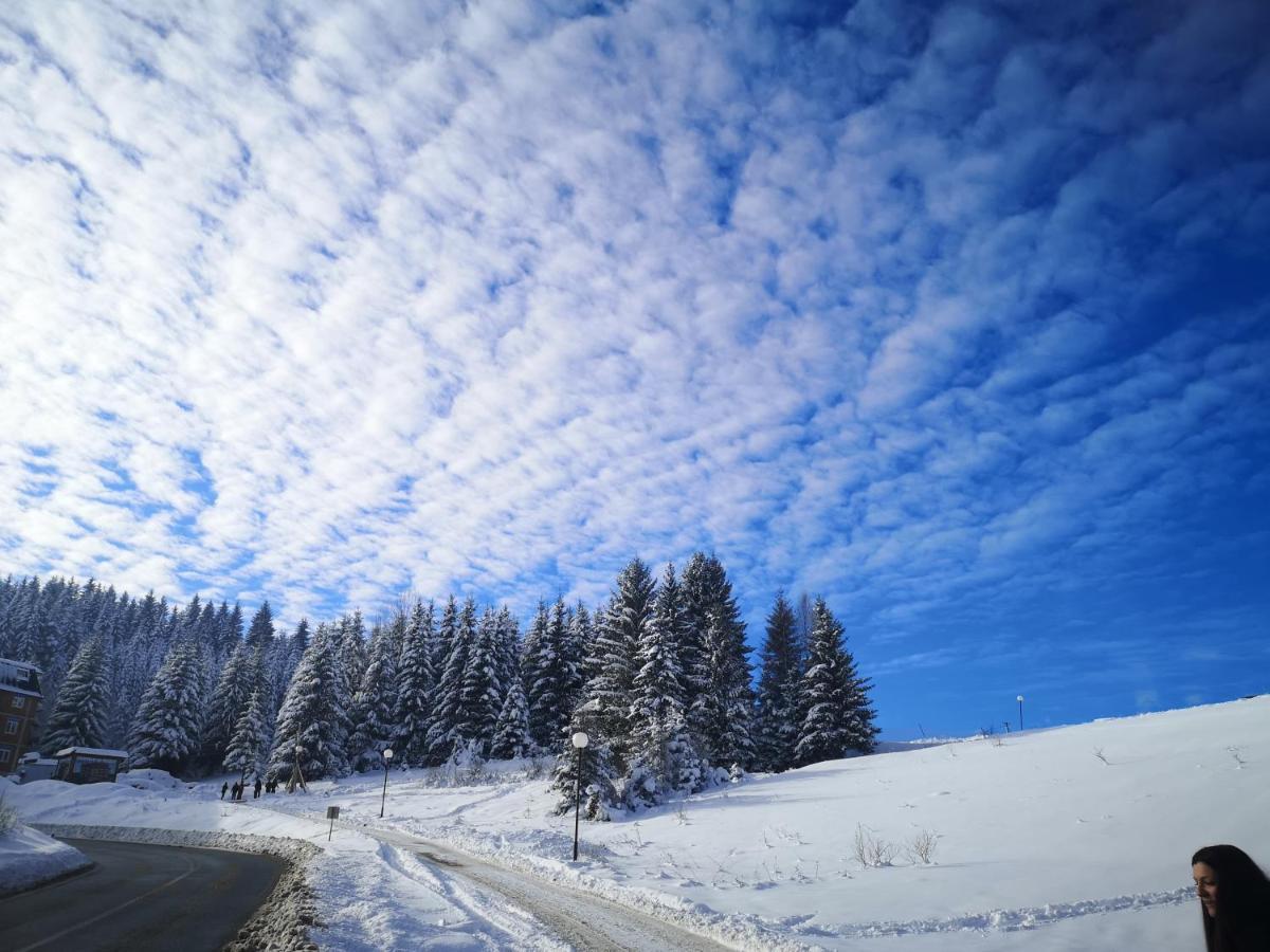 Zlatarske Brvnare Zlatar Chalets Nova Varoš 외부 사진